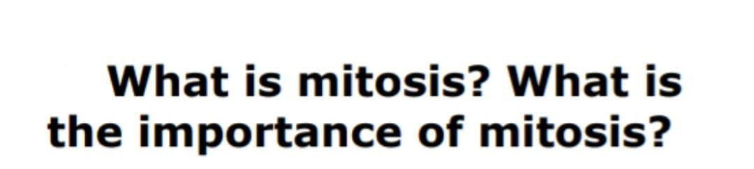 What is mitosis? What is
the importance of mitosis?
