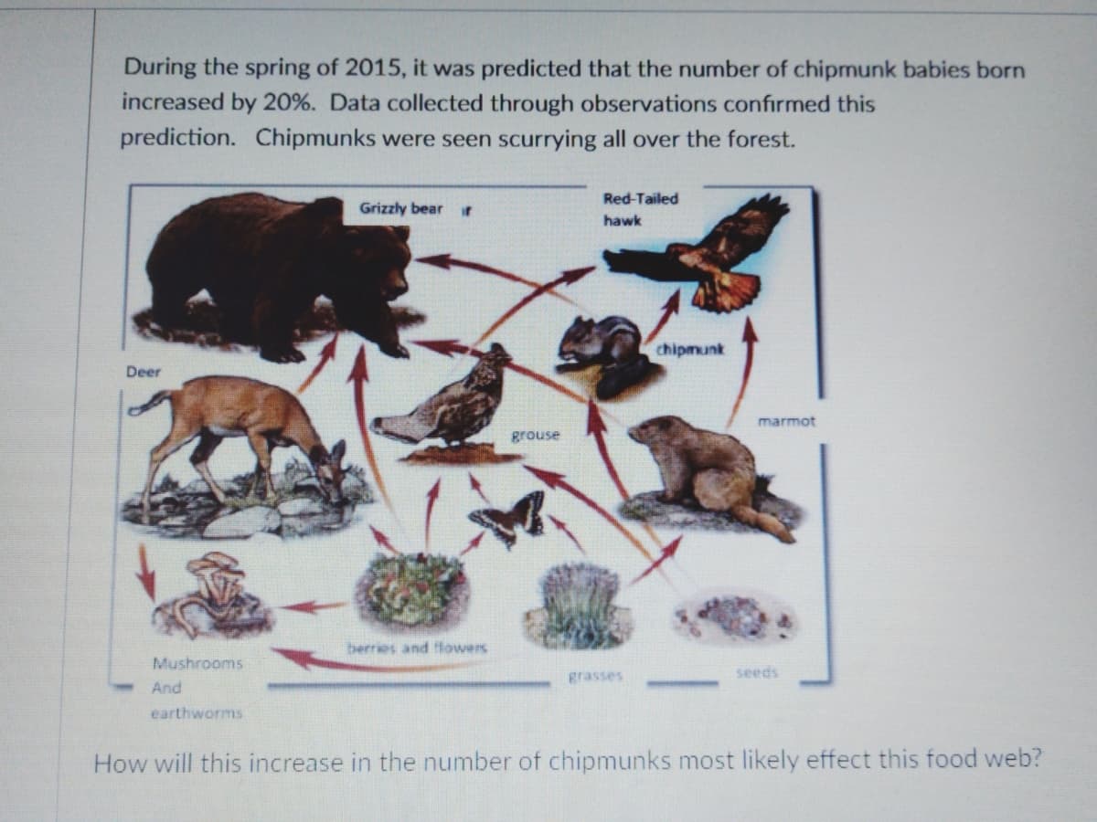 During the spring of 2015, it was predicted that the number of chipmunk babies born
increased by 20%. Data collected through observations confirmed this
prediction. Chipmunks were seen scurrying all over the forest.
Red-Tailed
Grizzly bear r
hawk
chipmunk
Deer
marmot
grouse
berries and flowers
Mushrooms
grasses
seeds
And
earthworms
How will this increase in the number of chipmunks most likely effect this food web?
