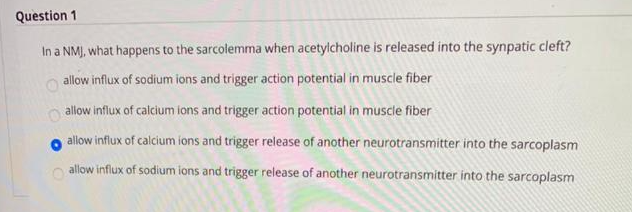 Question 1
In a NMJ, what happens to the sarcolemma when acetylcholine is released into the synpatic cleft?
allow influx of sodium ions and trigger action potential in muscle fiber
allow influx of calcium ions and trigger action potential in muscle fiber
allow influx of calcium ions and trigger release of another neurotransmitter into the sarcoplasm
allow influx of sodium ions and trigger release of another neurotransmitter into the sarcoplasm
