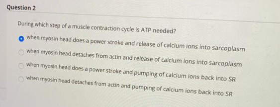 Question 2
During which step of a muscle contraction cycle is ATP needed?
when myosin head does a power stroke and release of calcium ions into sarcoplasm
when myosin head detaches from actin and release of calcium ions into sarcoplasm
when myosin head does a power stroke and pumping of calcium ions back into SR
when myosin head detaches from actin and pumping of calcium ions back into SR
