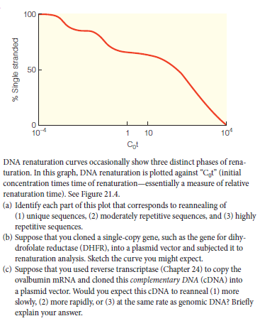 100
50
10
1
10
10
Cot
DNA renaturation curves occasionally show three distinct phases of rena-
turation. In this graph, DNA renaturation is plotted against "Cf" (initial
concentration times time of renaturation-essentially a measure of relative
renaturation time). See Figure 21.4.
(a) Identify each part of this plot that corresponds to reannealing of
(1) unique sequences, (2) moderately repetitive sequences, and (3) highly
repetitive sequences.
(b) Suppose that you cloned a single-copy gene, such as the gene for dihy-
drofolate reductase (DHFR), into a plasmid vector and subjected it to
renaturation analysis. Sketch the curve you might expect.
(c) Suppose that you used reverse transcriptase (Chapter 24) to copy the
ovalbumin mRNA and cloned this complementary DNA (CDNA) into
a plasmid vector. Would you expect this CDNA to reanneal (1) more
slowly. (2) more rapidly, or (3) at the same rate as genomic DNA? Briefly
explain your answer.
% Single stranded
