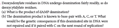 Deoxyadenylate residues in DNA undergo deamination fairly readily, as do
deoxycytidylate residues.
(a) What is the product of DAMP deamination?
(b) The deamination product is known to base-pair with A, C, or T. What
would be the genetic consequences if this deaminated site in DNA were
not repaired and if it paired with C on the next round of replication?
