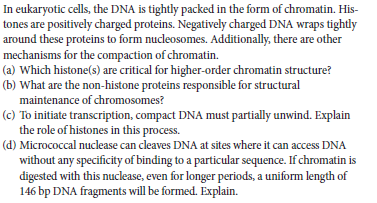 In eukaryotic cells, the DNA is tightly packed in the form of chromatin. His-
tones are positively charged proteins. Negatively charged DNA wraps tightly
around these proteins to form nucleosomes. Additionally, there are other
mechanisms for the compaction of chromatin.
(a) Which histone(s) are critical for higher-order chromatin structure?
(b) What are the non-histone proteins responsible for structural
maintenance of chromosomes?
(c) To initiate transcription, compact DNA must partially unwind. Explain
the role of histones in this process.
(d) Micrococcal nuclease can cleaves DNA at sites where it can access DNA
without any specificity of binding to a particular sequence. If chromatin is
digested with this nuclease, even for longer periods, a uniform length of
146 bp DNA fragments will be formed. Explain.
