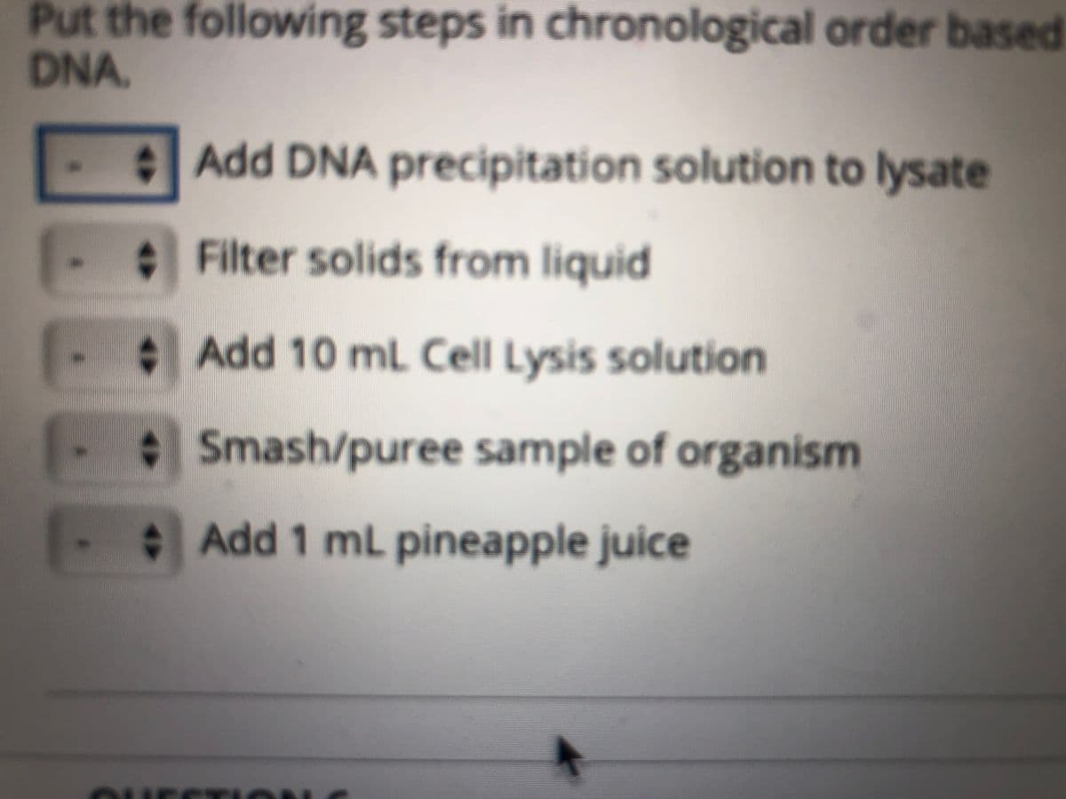 Put the following steps in chronological order based
DNA.
Add DNA precipitation solution to lysate
Filter solids from liquid
Add 10 mL Cell Lysis solution
Smash/puree sample of organism
Add 1 mL pineapple juice
