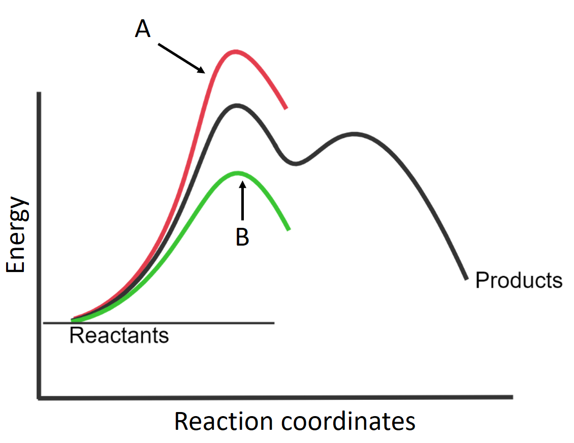 A
В
Products
Reactants
Reaction coordinates
Energy
