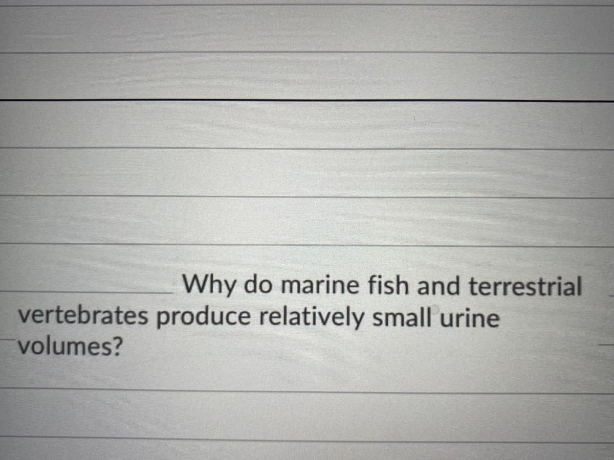 Why do marine fish and terrestrial
vertebrates produce relatively small urine
volumes?
