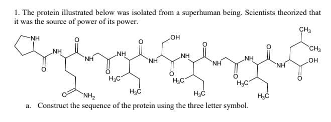 1. The protein illustrated below was isolated from a superhuman being. Scientists theorized that
it was the source of power of its power.
CH3
NH
но
CH3
NH
NH
NH
NH
NH
NH
HO
H.
NH
H3C
H3C
H3C
NH2
a. Construct the sequence of the protein using the three letter symbol.
