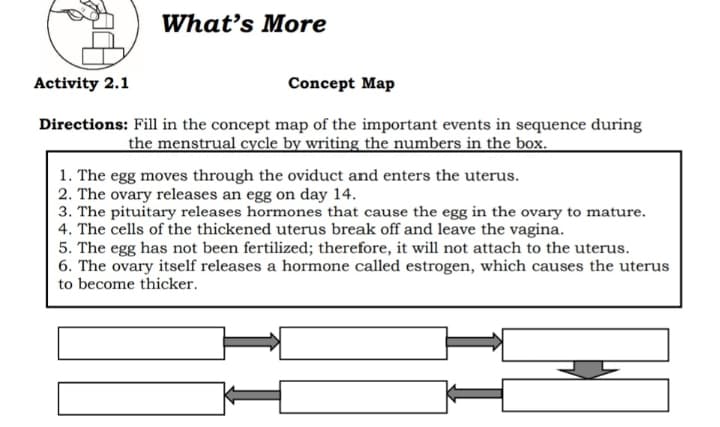 What's More
Activity 2.1
Concept Map
Directions: Fill in the concept map of the important events in sequence during
the menstrual cycle by writing the numbers in the box.
1. The egg moves through the oviduct and enters the uterus.
2. The ovary releases an egg on day 14.
3. The pituitary releases hormones that cause the egg in the ovary to mature.
4. The cells of the thickened uterus break off and leave the vagina.
5. The egg has not been fertilized; therefore, it will not attach to the uterus.
6. The ovary itself releases a hormone called estrogen, which causes the uterus
to become thicker.
