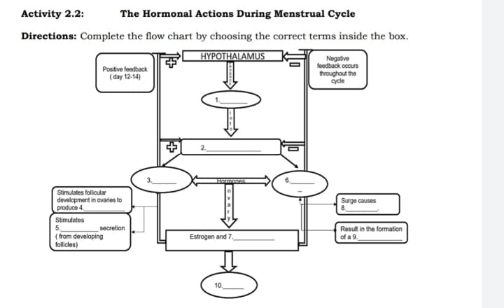 Activity 2.2:
The Hormonal Actions During Menstrual Cycle
Directions: Complete the flow chart by choosing the correct terms inside the box.
HYPOTHALAMUS
Negative
feedback occurs
throughout the
cycle
Positive feedback
( day 12-14)
2.
Stimulates follicular
development in ovaries to
produce 4,
Surge causes
Stimulates
5.
( from developing
follicles)
Result in the formation
of a 9.
secretion
Estrogen and 7,
10.

