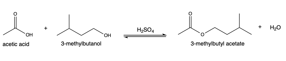 sh
OH
acetic acid
3-methylbutanol
OH
H₂SO4
bulime
3-methylbutyl acetate
+
H₂O