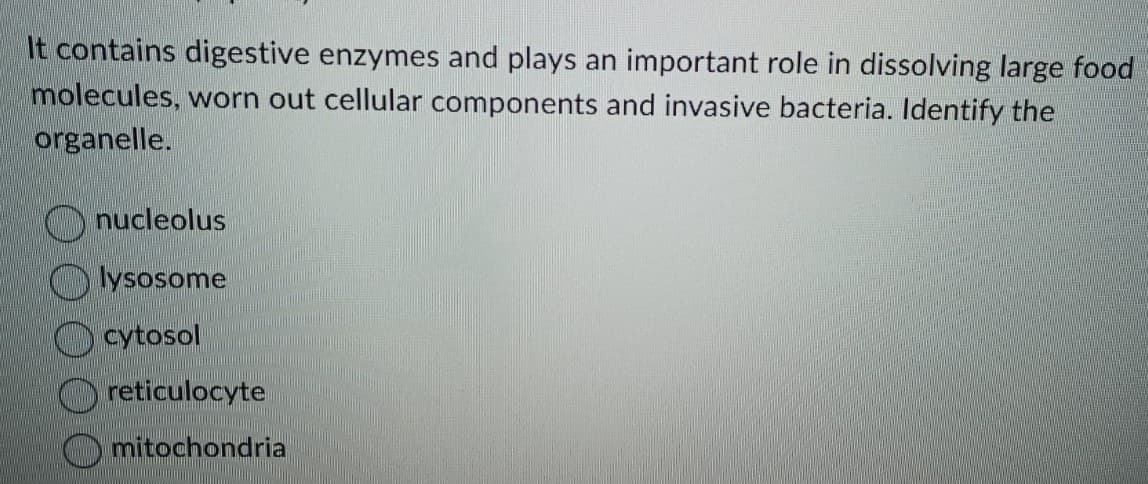 It contains digestive enzymes and plays an important role in dissolving large food
molecules, worn out cellular components and invasive bacteria. Identify the
organelle.
nucleolus
lysosome
cytosol
reticulocyte
mitochondria