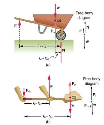 Free-body
diagram
•CG
Fo
Ftl
1o=ro1
(a)
Free-body
diagram
Fo
F,
Fm
F,
• CG
ートー
1o-ral
(b)
