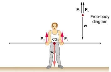 Free-body
diagram
FT CG TF.
