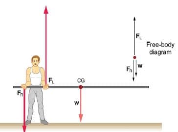 Free-body
diagram
FR
CG
FA
w/
