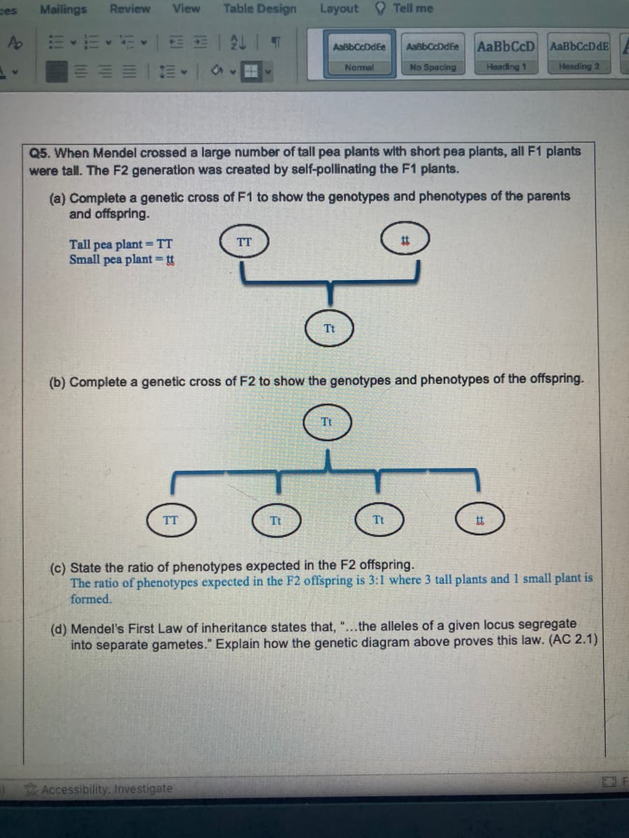 ces
A₂
Mailings Review View
+=
E-
Tall pea plant = TT
Small pea plant=tt
Table Design
TH 2↓
TT
15
T
Accessibility: Investigate
Q5. When Mendel crossed a large number of tall pea plants with short pea plants, all F1 plants
were tall. The F2 generation was created by self-pollinating the F1 plants.
TT
Layout Tell me
(a) Complete a genetic cross of F1 to show the genotypes and phenotypes of the parents
and offspring.
AsBbCeDdE:
Normal
Tt
Tt
(b) Complete a genetic cross of F2 to show the genotypes and phenotypes of the offspring.
AaBbCcDdEe
No Spacing
AaBbCcD AaBbCcDdE
Heading 1
Heading 2
Tt
Tt
tt
(c) State the ratio of phenotypes expected in the F2 offspring.
The ratio of phenotypes expected in the F2 offspring is 3:1 where 3 tall plants and 1 small plant is
formed.
(d) Mendel's First Law of inheritance states that, "...the alleles of a given locus segregate
into separate gametes." Explain how the genetic diagram above proves this law. (AC 2.1)