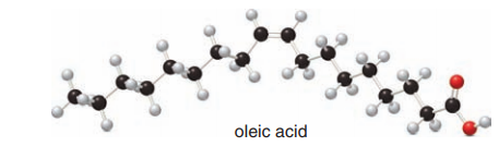oleic acid
