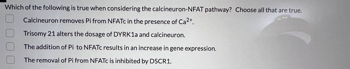 Which of the following is true when considering the calcineuron-NFAT pathway? Choose all that are true.
Calcineuron removes Pi from NFATC in the presence of Ca2+.
Trisomy 21 alters the dosage of DYRK1A and calcineuron.
The addition of Pi to NFATc results in an increase in gene expression.
The removal of Pi from NFATC is inhibited by DSCR1.
