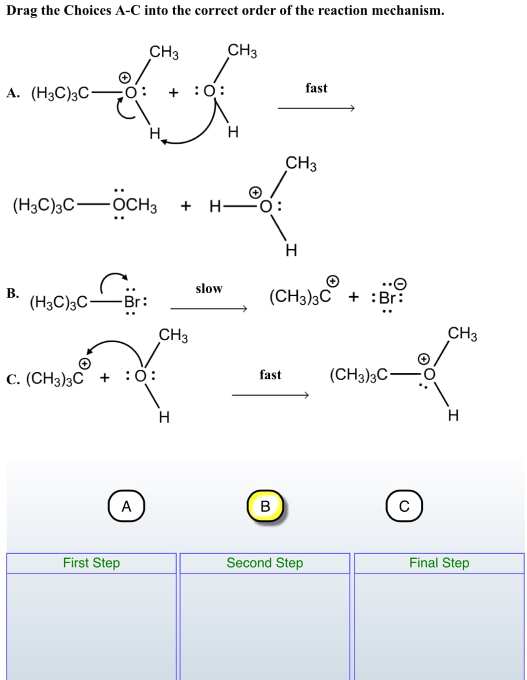 Drag the Choices A-C into the correct order of the reaction mechanism.
CH3
CH3
A. (H3C)3C-
:0:
fast
+
CH3
(H3C)3C OCCH3
H F0
H
slow
В.
(H3C)3C-
(CH3)3C + :Br:
Br:
CH3
CH3
С. (CН3)3С +
:0:
fast
(CH3)3C-
H
A
В
First Step
Second Step
Final Step
