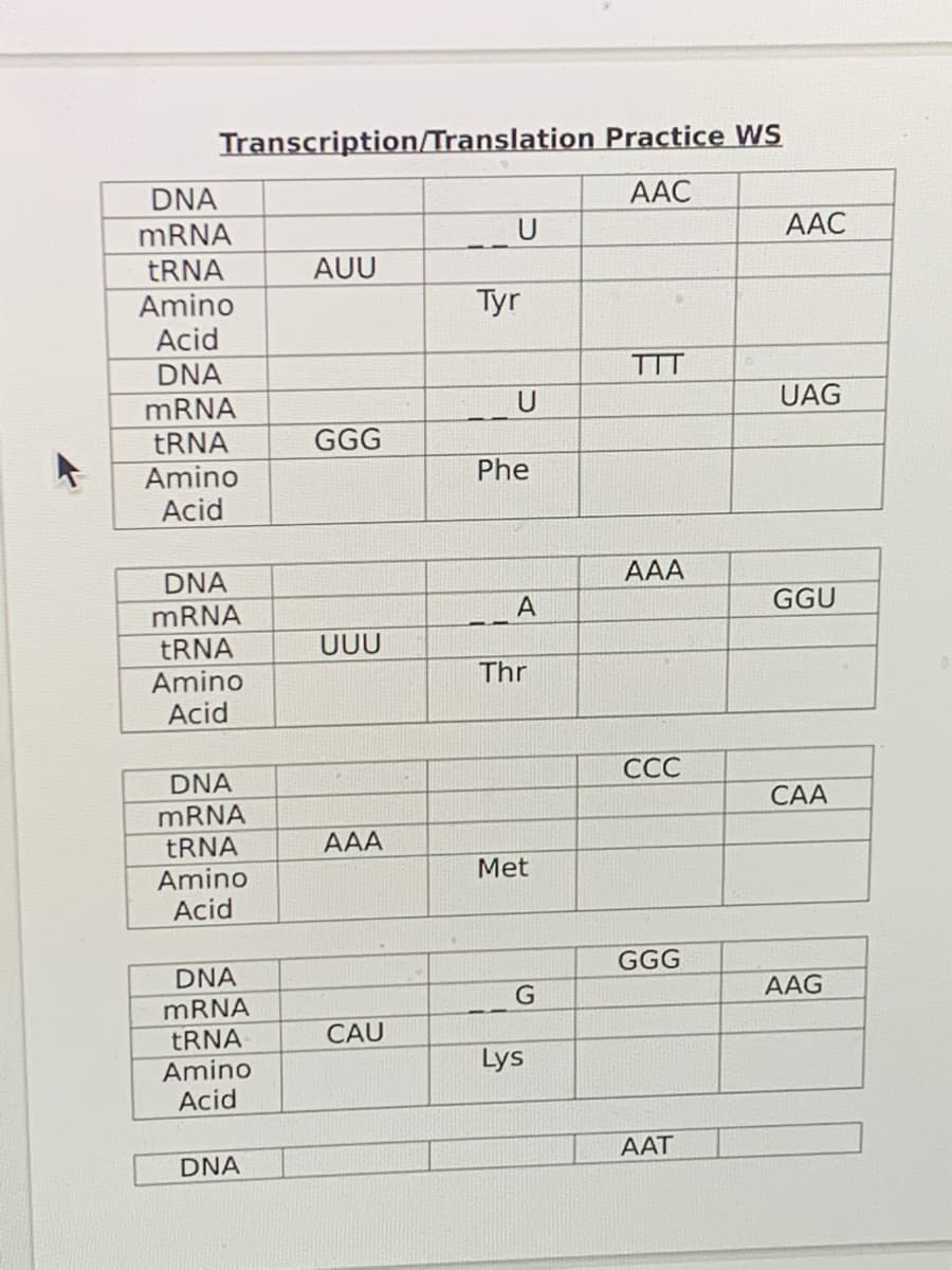 Transcription/Translation Practice WS
DNA
AAC
MRNA
U
AAC
TRNA
Amino
AUU
Tyr
Acid
DNA
MRNA
TTT
U
UAG
ERNA
GGG
Amino
Phe
Acid
AAA
DNA
MRNA
GGU
UUU
ERNA
Amino
Acid
Thr
DNA
ССС
САА
MRNA
TRNA
Amino
Acid
AAA
Met
DNA
GGG
AAG
MRNA
ERNA
CAU
Lys
Amino
Acid
DNA
AAT
