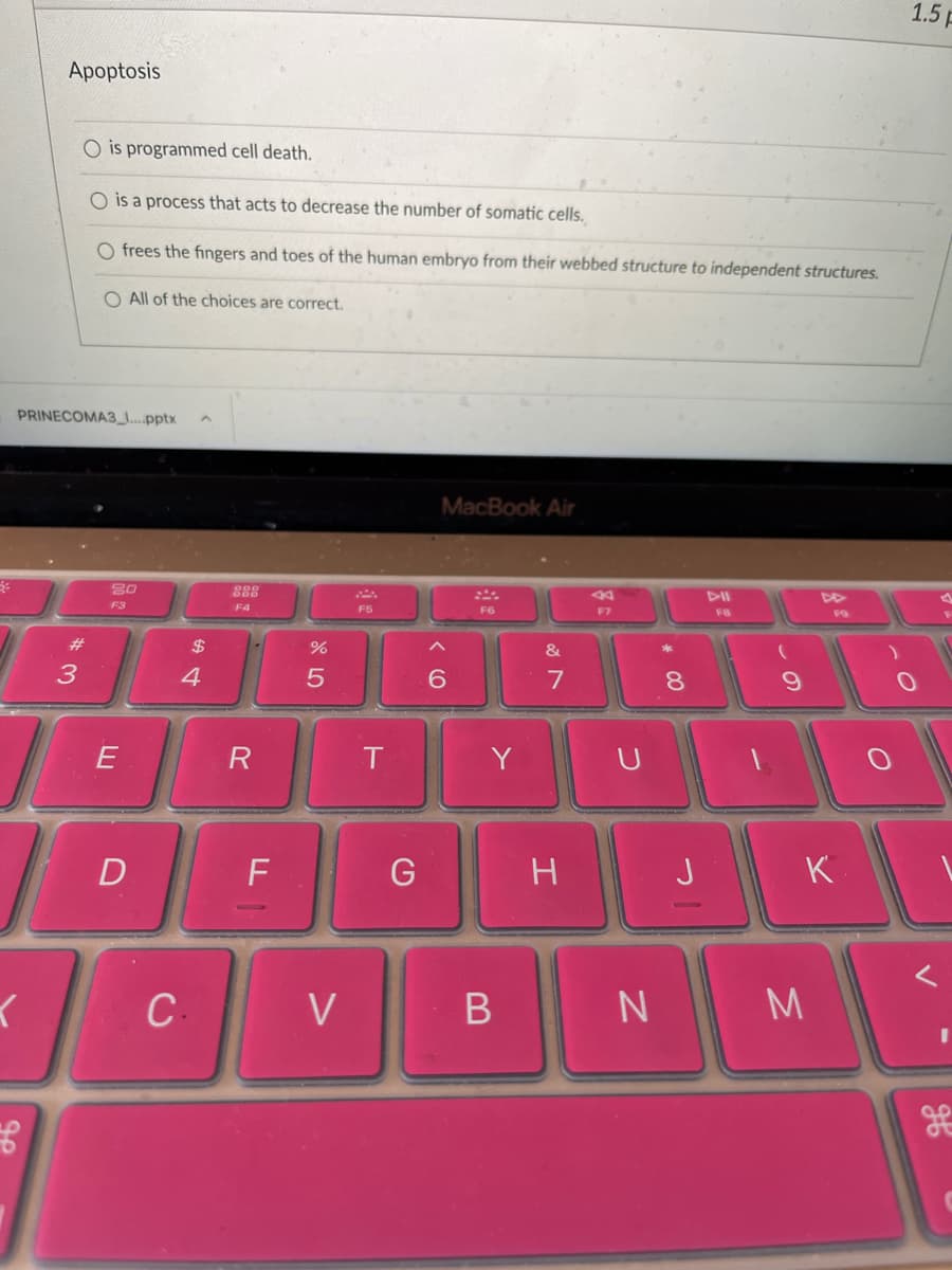 1.5 F
Apoptosis
O is programmed cell death.
O is a process that acts to decrease the number of somatic cells.
O frees the fingers and toes of the human embryo from their webbed structure to independent structures.
O All of the choices are correct.
PRINECOMA3_....pptx
MacBook Air
80
888
DII
F3
F4
F5
F6
F7
F8
F9
#3
2$
3
4
6.
E
R
Y
D
G
H
J
K
C.
V
N
M
* 00
B
