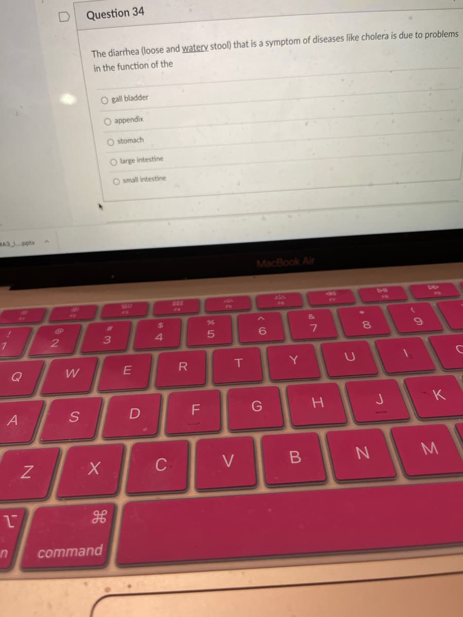 Question 34
The diarrhea (loose and watery stool) that is a symptom of diseases like cholera is due to problems
in the function of the
O gall bladder
O appendix
O stomach
O large intestine
O small intestine
MA3 pptx
MacBook Air
BEE
F2
15
FA
FS
%23
$4
&
2
3
4.
Q
W
R
T
Y
G
K
V
command
この
