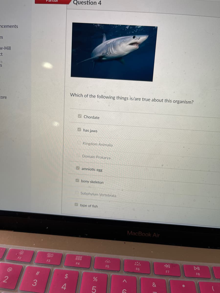 ncements
es
w-Hill
ct
0
S
core
@
2
FON
#3
3
80
F3
$
4
Question 4
Which of the following things is/are true about this organism?
Chordate
has jaws
Kingdom Animalia
Domain Prokarya
amniotic egg
bony skeleton
Subphylum Vertebrata
type of fish
F4
%
5
F5
<
(C
MacBook Air
F6
&
F7
*
F8