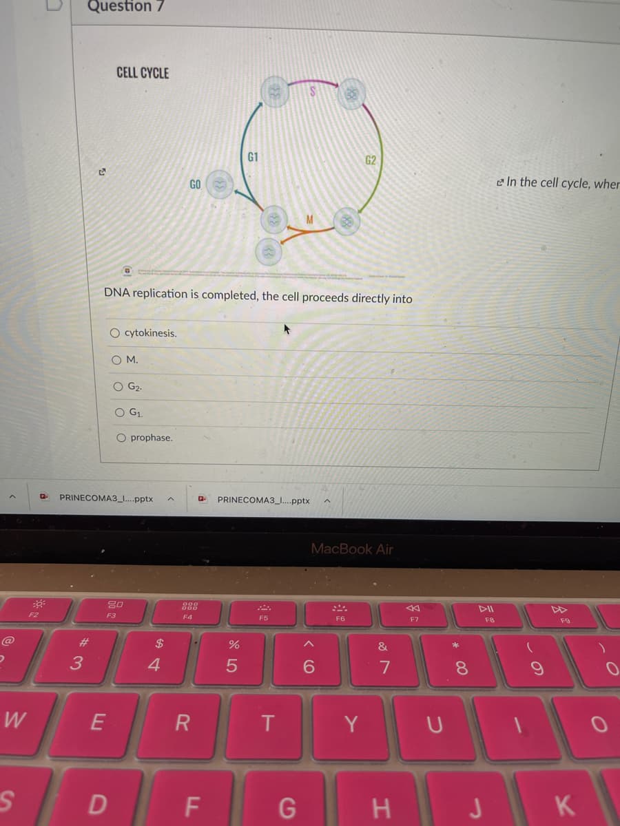 Question 7
CELL CYCLE
G1
G2
GO
In the cell cycle, wher
M.
DNA replication is completed, the cell proceeds directly into
O cytokinesis.
OM.
O G2.
O G1.
O prophase.
PRINECOMA3_I.pptx
PRINECOMA3_..pptx
MacBook Air
DII
F2
F3
F4
F5
F6
F7
F8
F9
@
#3
2$
&
3.
4
8.
W
Y
U
D
F
K
CD
& LO

