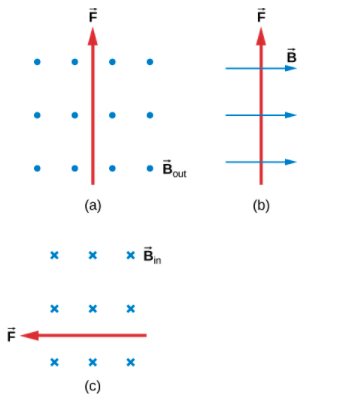 Bout
(b)
(а)
х х
* Bn
(с)
