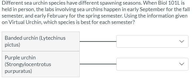 Different sea urchin species have different spawning seasons. When Biol 101L is
held in person, the labs involving sea urchins happen in early September for the fall
semester, and early February for the spring semester. Using the information given
on Virtual Urchin, which species is best for each semester?
Banded urchin (Lytechinus
pictus)
Purple urchin
(Strongylocentrotus
purpuratus)
>
>
