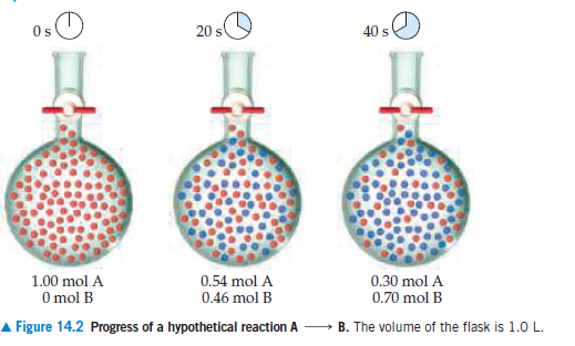 Os
40 s
1.00 mol A
0.54 mol A
0.46 mol B
0.30 mol A
0.70 mol B
O mol B
A Figure 14.2 Progress of a hypothetical reaction A
B. The volume of the flask is 1.0 L.
