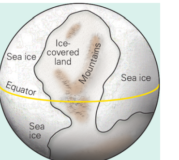 Ice-
covered
land
Sea ice
Sea ice
Equator
Sea
ice
Mour
