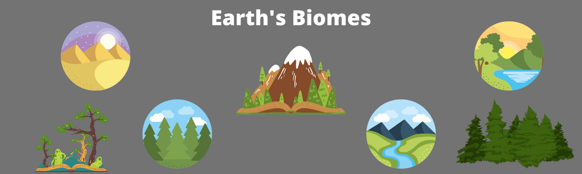 Earth's Biomes
