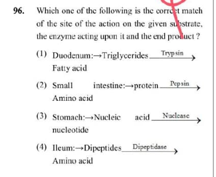 96. Which one of the following is the correet match
of the site of the action on the given substrate,
the enzyme acting upon it and the end product ?
(1) Duodenum:Triglycerides Tryp sin
Fatty acid
(2) Small
intestine:→protein Pepsin
Amino acid
(3) Stomach:→Nucleic
acid Nuclease
nucleotide
(4) Ileum:→Dipeptides Dipeptidase
Amino acid
