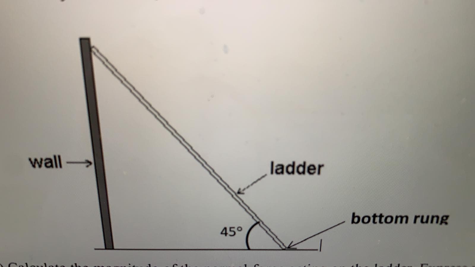 wall
ladder
bottom rung
45°
