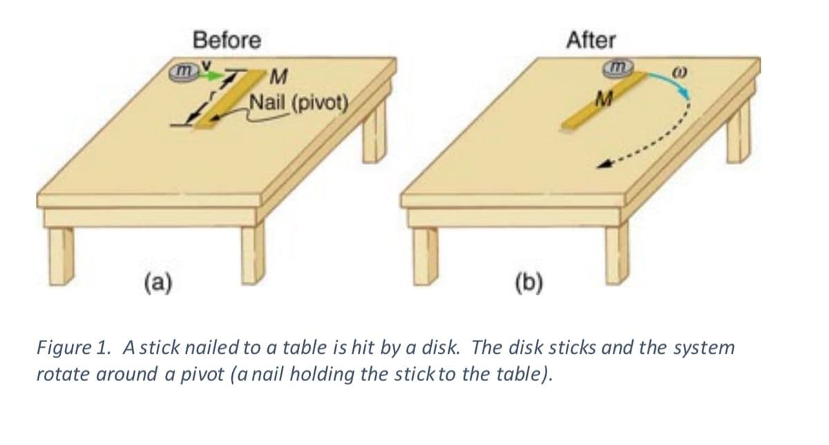 Before
After
m
M
Nail (pivot)
(a)
(b)
Figure 1. Astick nailed to a table is hit by a disk. The disk sticks and the system
rotate around a pivot (a nail holding the stick to the table).
