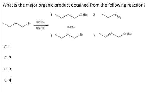 What is the major organic product obtained from the following reaction?
Bu 2
KOBU
tBuOH
O-tBu
Br
O-+Bu
0 1
O 2
0 3
