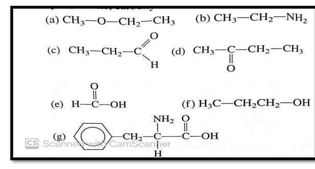 (a) CH3-O-CH₂-CH3
(c) CH3–CH, C
(e) H-C-OH
»
(b) CH3—CH, NH,
(d) CH3-C-CH₂-CH3
!!!
(f) H3C-CH₂CH₂-OH
(g)
cs Scanne
H
NH₂ O
T ||
-CH₂-C- -C-OH
CamScanner ob
H