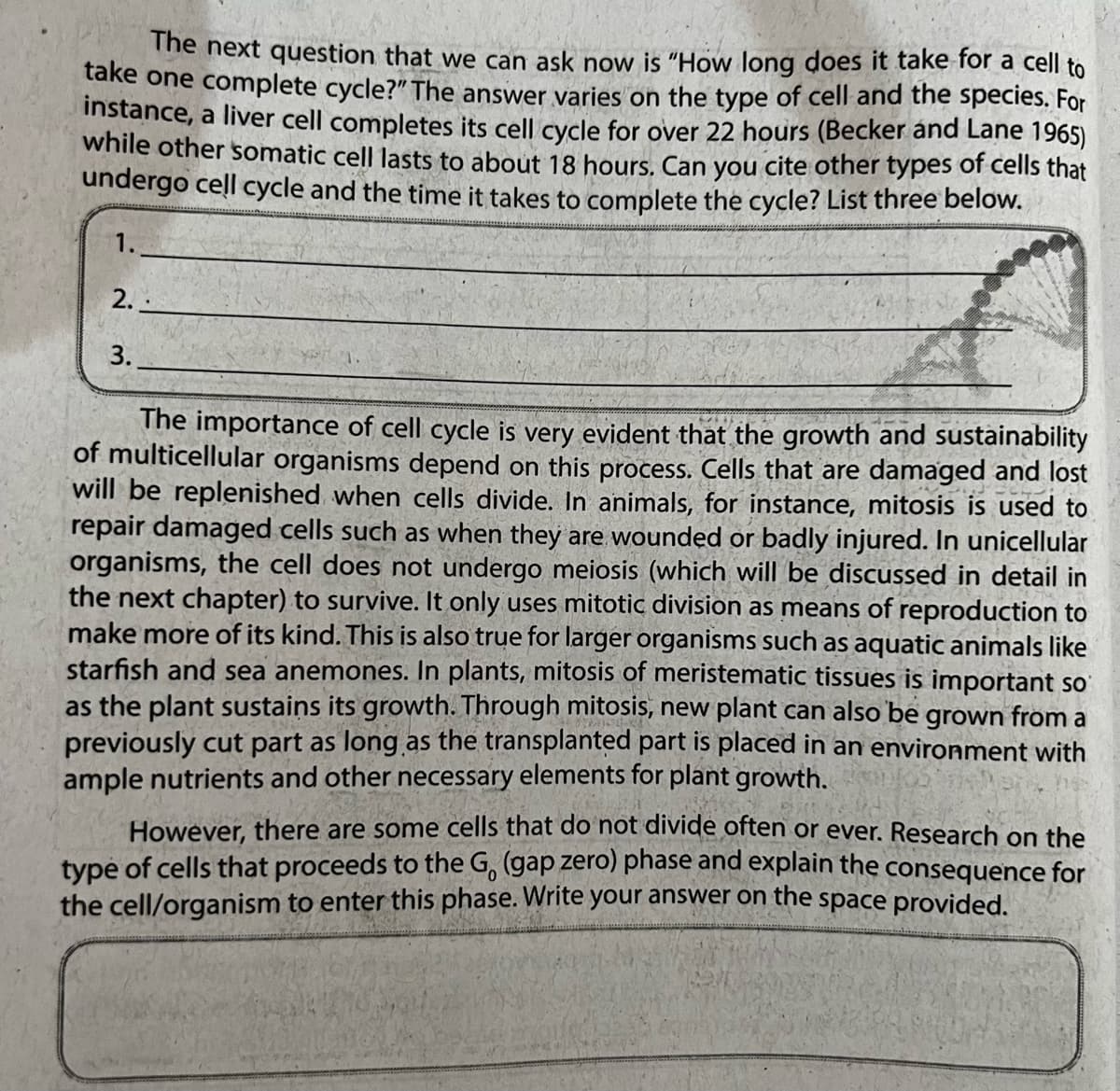 The next question that we can ask now is "How long does it take for a cell to
take one complete cycle?" The answer varies on the type of cell and the species. For
instance, a liver cell completes its cell cycle for over 22 hours (Becker and Lane 1965)
while other somatic cell lasts to about 18 hours. Can you cite other types of cells that
undergo cell cycle and the time it takes to complete the cycle? List three below.
1.
2.
3.
The importance of cell cycle is very evident that the growth and sustainability
of multicellular organisms depend on this process. Cells that are damaged and lost
will be replenished when cells divide. In animals, for instance, mitosis is used to
repair damaged cells such as when they are wounded or badly injured. In unicellular
organisms, the cell does not undergo meiosis (which will be discussed in detail in
the next chapter) to survive. It only uses mitotic division as means of reproduction to
make more of its kind. This is also true for larger organisms such as aquatic animals like
starfish and sea anemones. In plants, mitosis of meristematic tissues is important so
as the plant sustains its growth. Through mitosis, new plant can also be grown from a
previously cut part as long as the transplanted part is placed in an environment with
ample nutrients and other necessary elements for plant growth.
However, there are some cells that do not divide often or ever. Research on the
type of cells that proceeds to the G, (gap zero) phase and explain the consequence for
the cell/organism to enter this phase. Write your answer on the space provided.