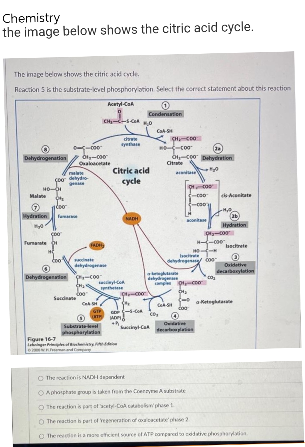 Chemistry
the image below shows the citric acid cycle.
The image below shows the citric acid cycle.
Reaction 5 is the substrate-level phosphorylation. Select the correct statement about this reaction
Acetyl-CoA
Condensation
CH₂-C-S-CoA H₂O
CoA-SH
citrate
CH₂-COO™
synthase
011000
HO-C-COO™
(2a
CH₂-COO Dehydration
Dehydrogenation
Citrate
Citric acid
H₂O
aconitase
cycle
NADH
malate
Coo- dehydro-
genase
HO-CH
Malate
COO™
Hydration fumarase
H₂O
COO™
Fumarate CH
HC
coo
Dehydrogenation
CH₂
CH₂-COO
Oxaloacetate
FADH₂
succinate
dehydrogenase
CH₂-COO
CH₂
COO-
Succinate
succinyl-CoA
synthetase
Succinyl-CoA
CH-COO™
c-coo
c-c0011
aconitase
CO₂
cis-Aconitate
H₂O
(2b
Hydration
Isocitrate
Oxidative
decarboxylation
a-ketoglutarate
dehydrogenase
complex
CH₂-COO™
COA-SH
CH₂
CoA-SH
GTP
GDP C-5-CoA
(ATP)
(ADP)
+ P₁
Substrate-level
Oxidative
decarboxylation
phosphorylation
Figure 16-7
Lehninger Principles of Biochemistry, Fifth Edition
2008 W.H. Freeman and Company
O The reaction is NADH dependent
O A phosphate group is taken from the Coenzyme A substrate
O The reaction is part of 'acetyl-CoA catabolism' phase 1.
O The reaction is part of 'regeneration of oxaloacetate' phase 2.
O The reaction is a more efficient source of ATP compared to oxidative phosphorylation.
CH₂-COO™
H-C-COO™
HO-CH
isocitrate
dehydrogenase Coo
CO₂
CH₂-COO
CH₂
-a-ketoglutarate
COO™