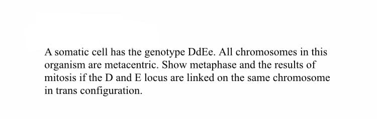 A somatic cell has the genotype DdEe. All chromosomes in this
organism are metacentric. Show metaphase and the results of
mitosis if the D and E locus are linked on the same chromosome
in trans configuration.
