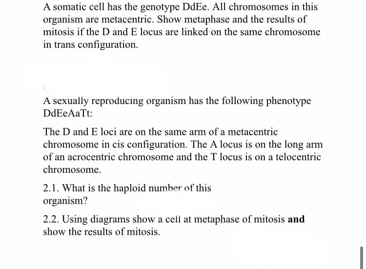 A somatic cell has the genotype DdEe. All chromosomes in this
organism are metacentric. Show metaphase and the results of
mitosis if the D and E locus are linked on the same chromosome
in trans configuration.
A sexually reproducing organism has the following phenotype
DdEeAaTt:
The D and E loci are on the same arm of a metacentric
chromosome in cis configuration. The A locus is on the long arm
of an acrocentric chromosome and the T locus is on a telocentric
chromosome.
2.1. What is the haploid number of this
organism?
2.2. Using diagrams show a cell at metaphase of mitosis and
show the results of mitosis.
