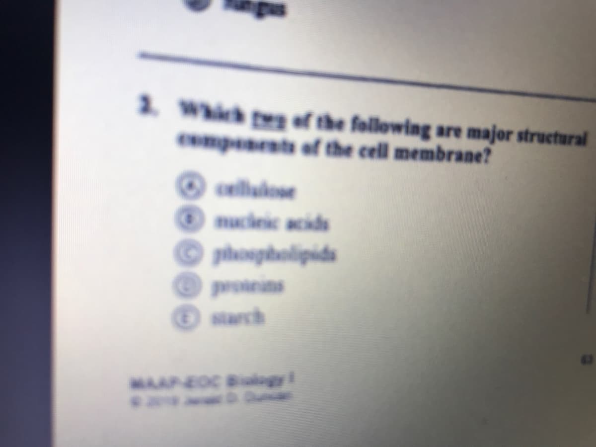 1. Which teg of the following are major structural
Compenents of the cell membrane?
cellukose
macleic acids
© phospholipids
proteins
starch
MAAPEOC BIlagy i
