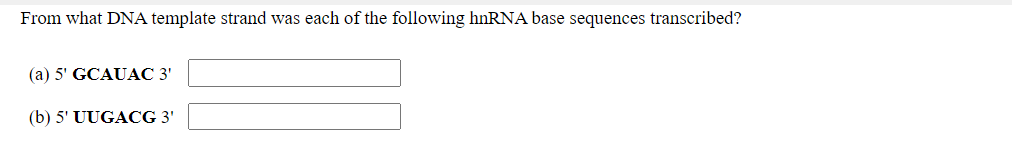 From what DNA template strand was each of the following hnRNA base sequences transcribed?
(a) 5' GCAUAC 3'
(b) 5' UUGACG 3'
