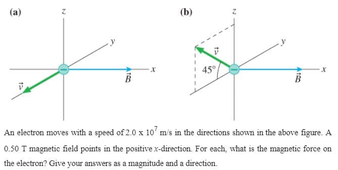 (а)
(b)
45°
An electron moves with a speed of 2.0 x 10' m/s in the directions shown in the above figure. A
0.50 T magnetic field points in the positive x-direction. For each, what is the magnetic force on
the electron? Give your answers as a magnitude and a direction.
