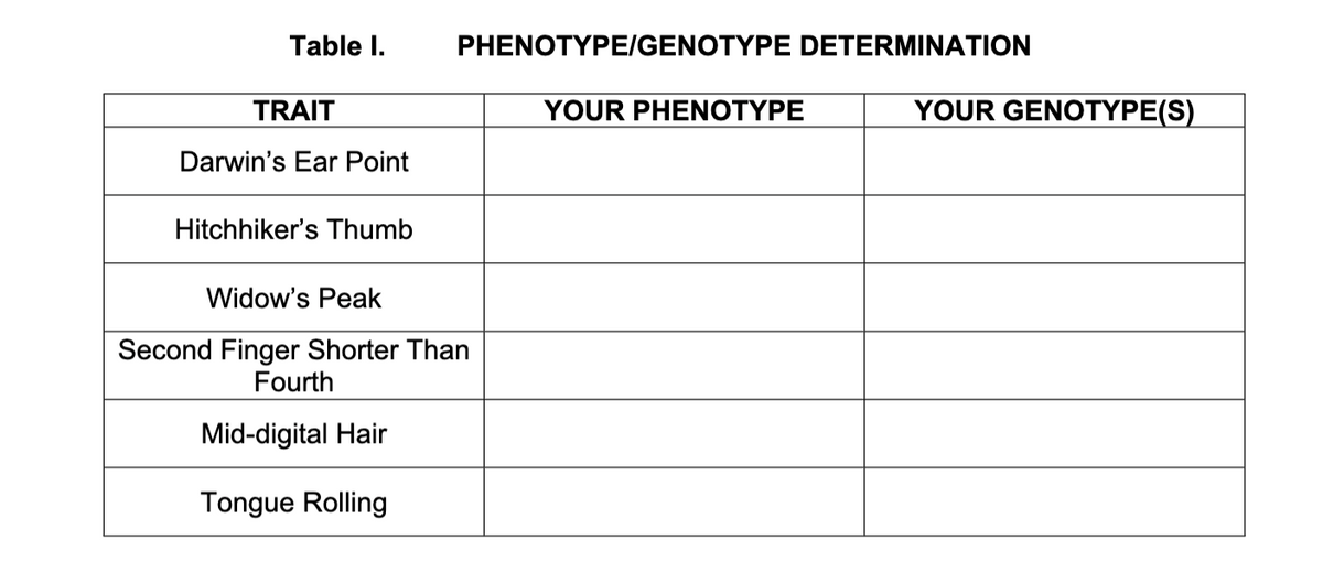 Table I.
PHENOTYPE/GENOTYPE DETERMINATION
TRAIT
YOUR PHENOTYPE
YOUR GENOTYPE(S)
Darwin's Ear Point
Hitchhiker's Thumb
Widow's Peak
Second Finger Shorter Than
Fourth
Mid-digital Hair
Tongue Rolling
