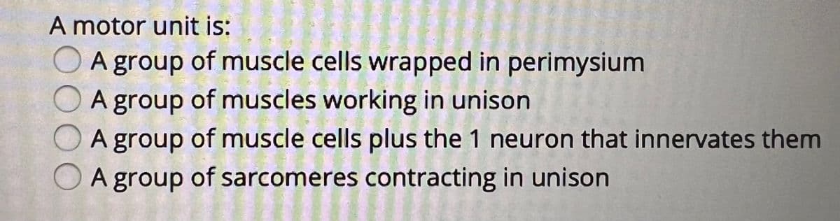 A motor unit is:
A group of muscle cells wrapped in perimysium
A group of muscles working in unison
A group of muscle cells plus the 1 neuron that innervates them
A group of sarcomeres contracting in unison