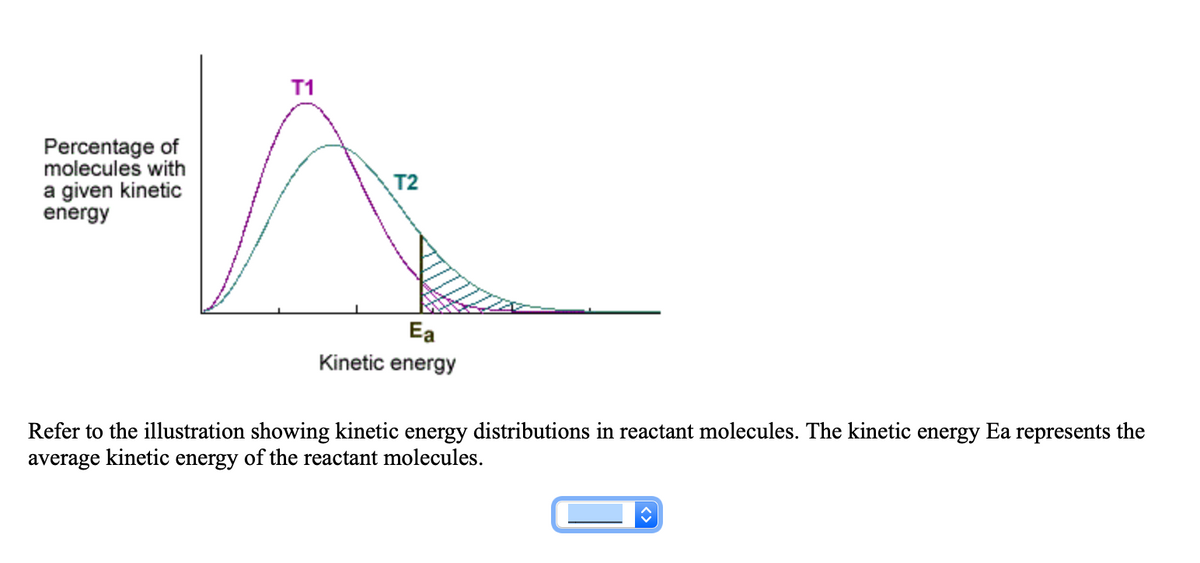 T1
Percentage of
molecules with
a given kinetic
energy
T2
Ea
Kinetic energy
Refer to the illustration showing kinetic energy distributions in reactant molecules. The kinetic energy Ea represents the
average kinetic energy of the reactant molecules.
