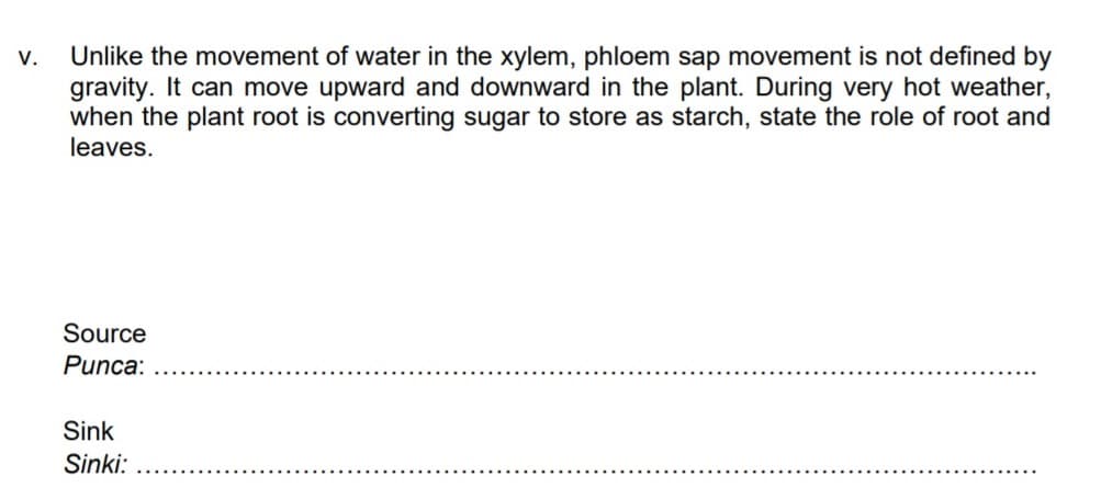 Unlike the movement of water in the xylem, phloem sap movement is not defined by
gravity. It can move upward and downward in the plant. During very hot weather,
when the plant root is converting sugar to store as starch, state the role of root and
V.
leaves.
Source
Punca:
Sink
Sinki:
