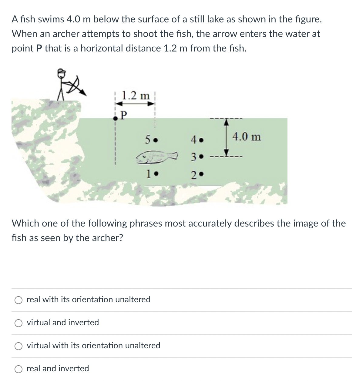 A fish swims 4.0 m below the surface of a still lake as shown in the figure.
When an archer attempts to shoot the fish, the arrow enters the water at
point P that is a horizontal distance 1.2 m from the fish.
| 1.2 m
5.
4.0 m
2.
Which one of the following phrases most accurately describes the image of the
fish as seen by the archer?
real with its orientation unaltered
virtual and inverted
virtual with its orientation unaltered
O real and inverted
3.
