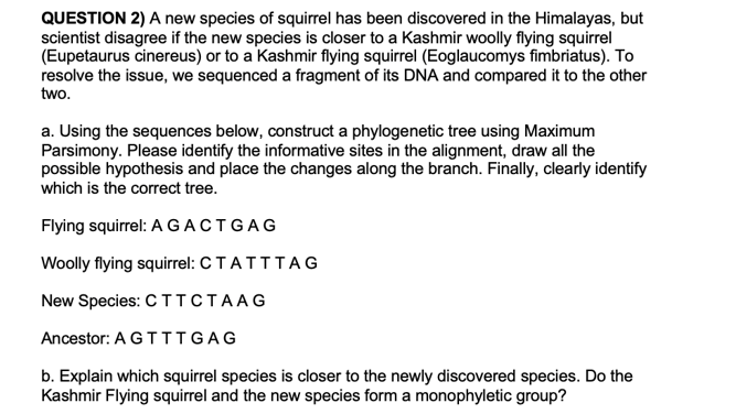 QUESTION 2) A new species of squirrel has been discovered in the Himalayas, but
scientist disagree if the new species is closer to a Kashmir woolly flying squirrel
(Eupetaurus cinereus) or to a Kashmir flying squirrel (Eoglaucomys fimbriatus). To
resolve the issue, we sequenced a fragment of its DNA and compared it to the other
two.
a. Using the sequences below, construct a phylogenetic tree using Maximum
Parsimony. Please identify the informative sites in the alignment, draw all the
possible hypothesis and place the changes along the branch. Finally, clearly identify
which is the correct tree.
Flying squirrel: A GACTGAG
Woolly flying squirrel: CTATT TAG
New Species: CTTCTAAG
Ancestor: AGTTTGAG
b. Explain which squirrel species is closer to the newly discovered species. Do the
Kashmir Flying squirrel and the new species form a monophyletic group?